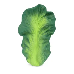 Oli & Carol Beiu00dfring/Badespielzeug Kendall the Kale